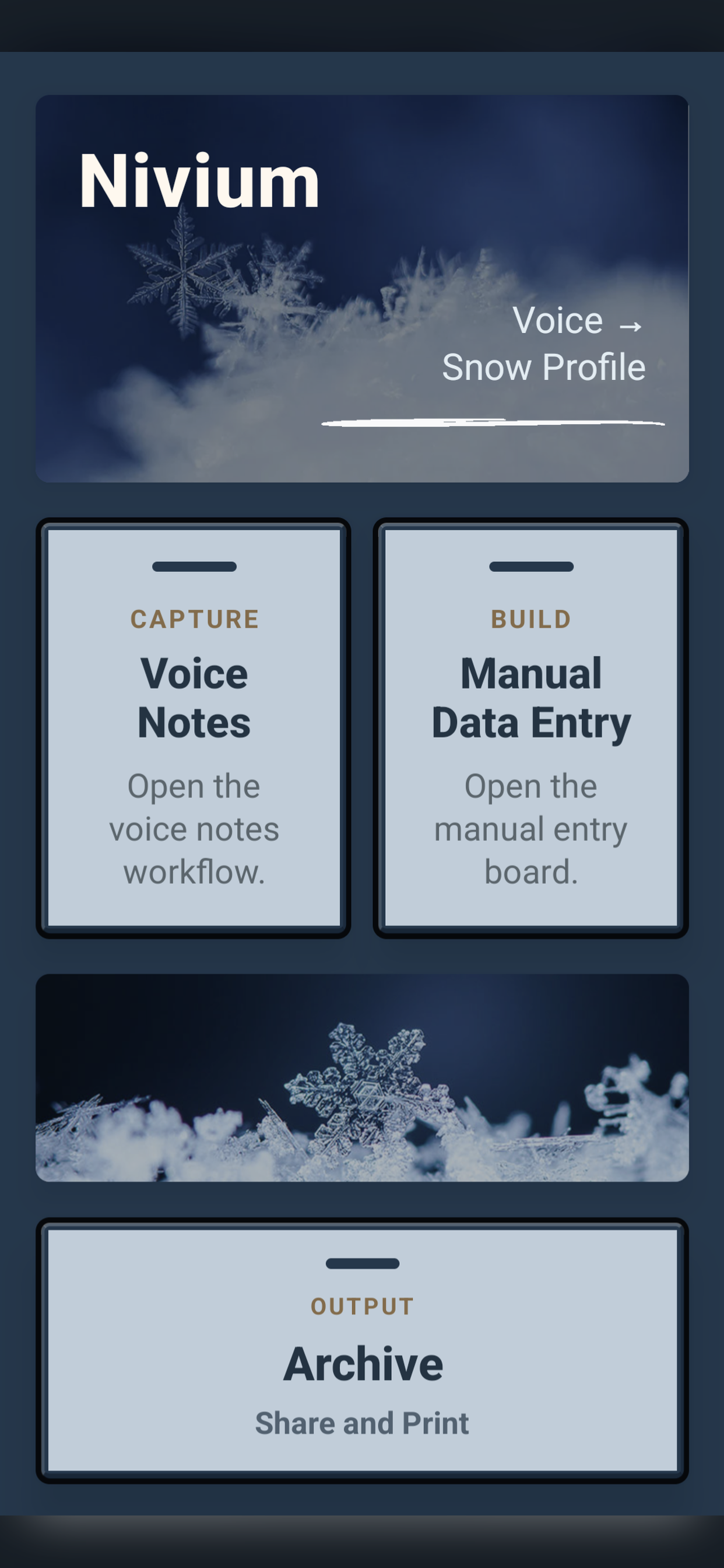Nivium home screen showing Voice Notes and Manual Data Entry options.