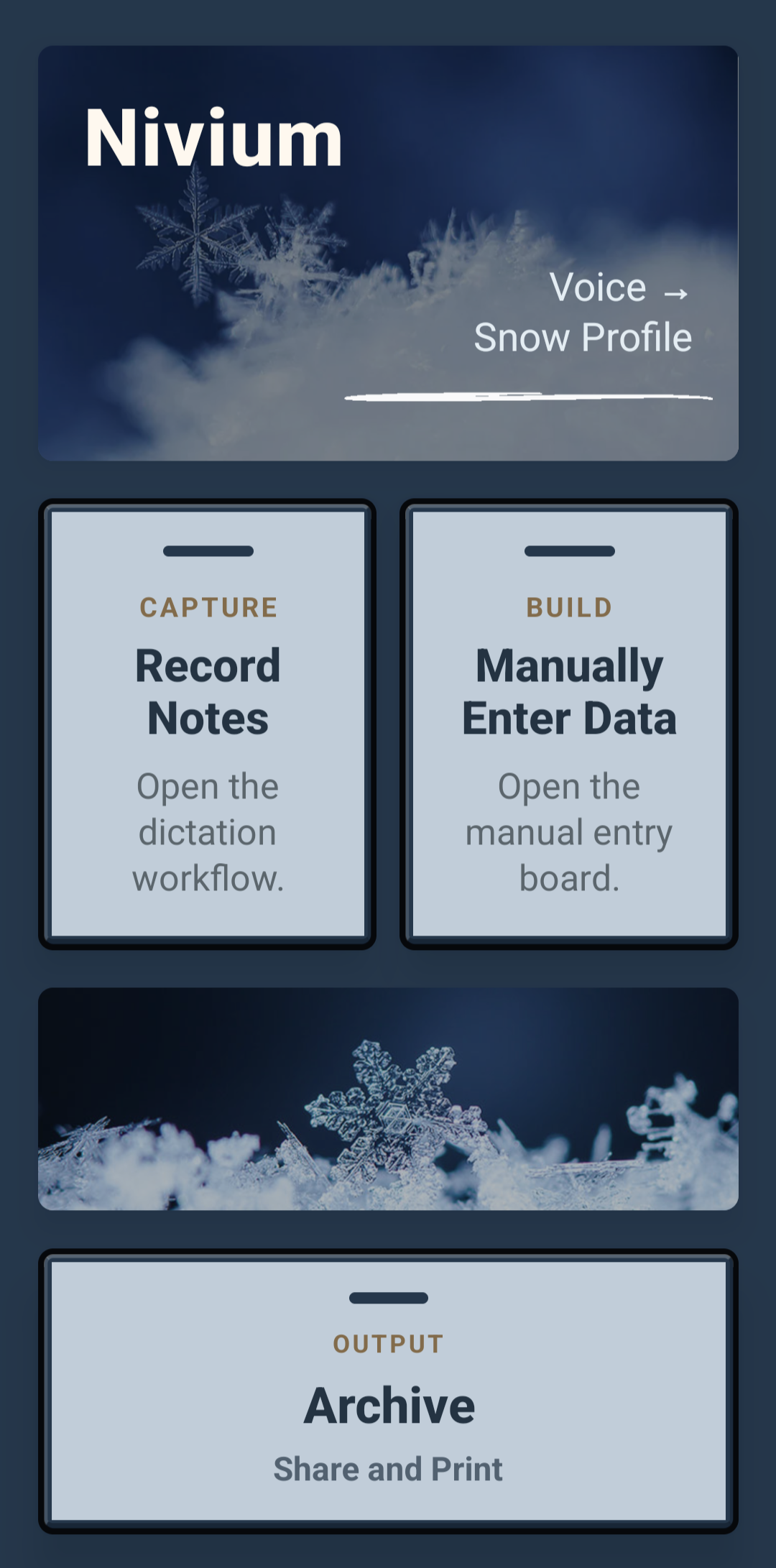 Guide collecting snow observations in a pit.