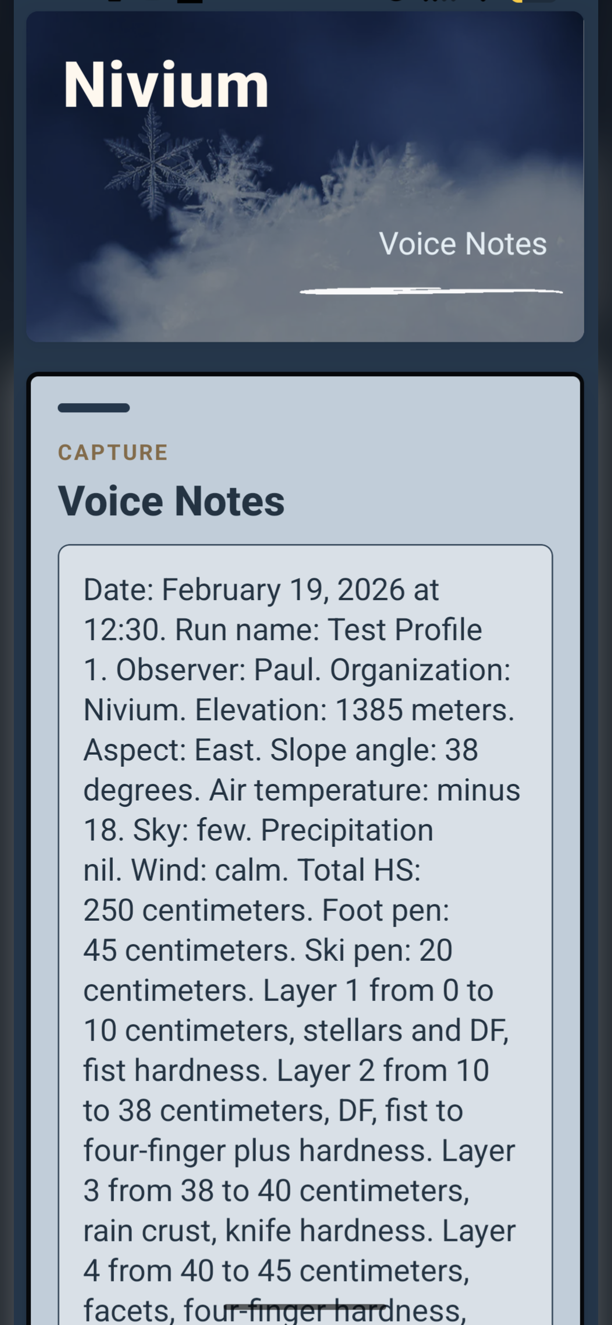 Nivium Voice Notes capture screen.